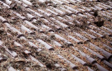 Fillingham roof cleaning companies